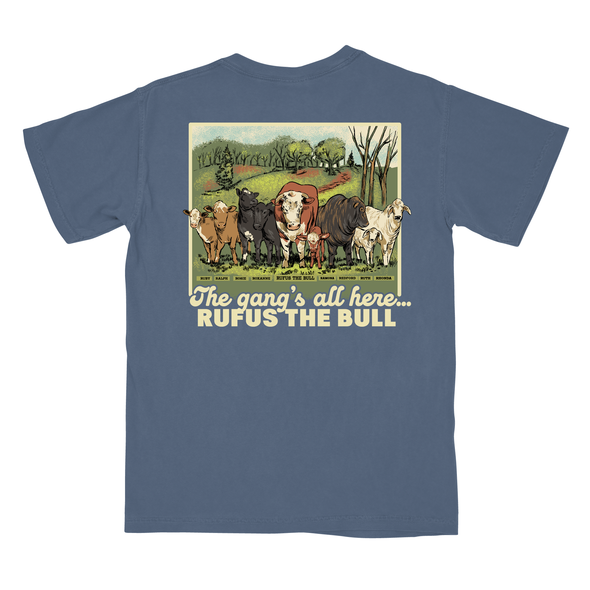 Rufus the Bull – Loughridge Ranch