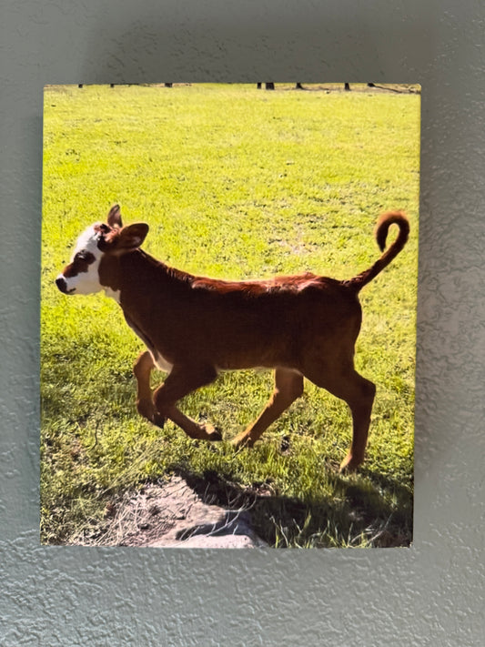 Wild child Roro 8x10 canvas